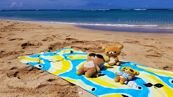Rilakkuma Lifestyle in Hawaii - Waikiki Beach