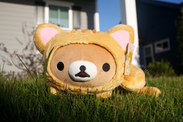 Rilakkuma Lifestyle - Rilakkuma plush - Tiger series - sleepy laydown - cat series - stuffed animal - cute - kawaii - のんびりネコ - リラックマ ぬいぐるみ - full front